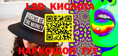 прущие грибы Новозыбков