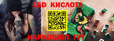 прущие грибы Новозыбков