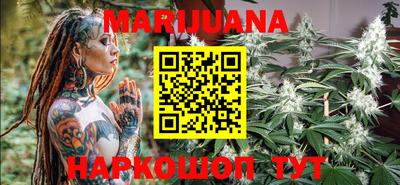 прущие грибы Новозыбков