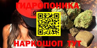 прущие грибы Новозыбков