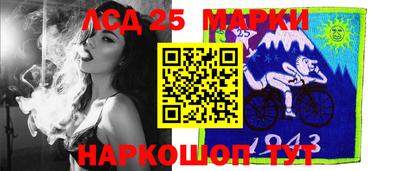 прущие грибы Новозыбков